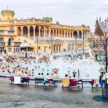 Garden House Near Andrassy 4br Design Gem Apartment *